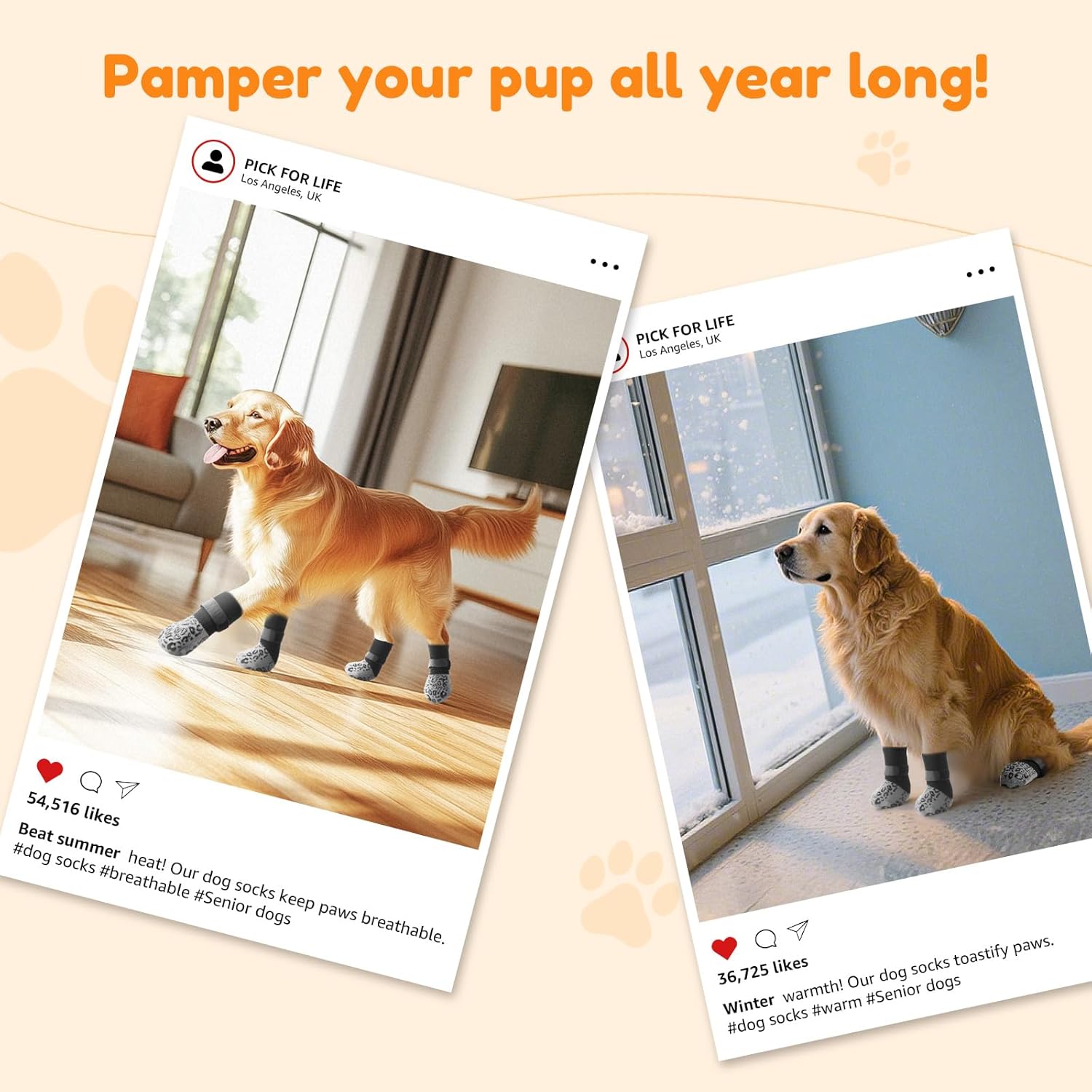 Thumbnail 6 de PICK FOR LIFE Dog Socks XL