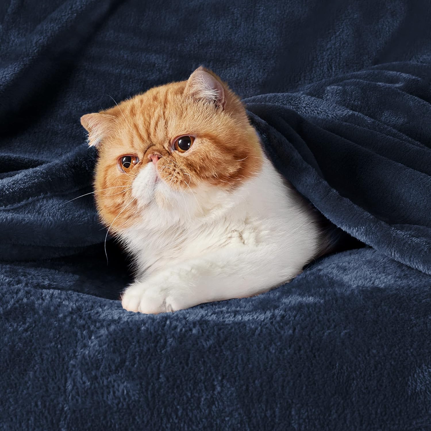 Thumbnail 1 de Bedsure Fleece Blanket King Size – Navy Blue, 270x230 cm: Soft, Warm and Durable Throw