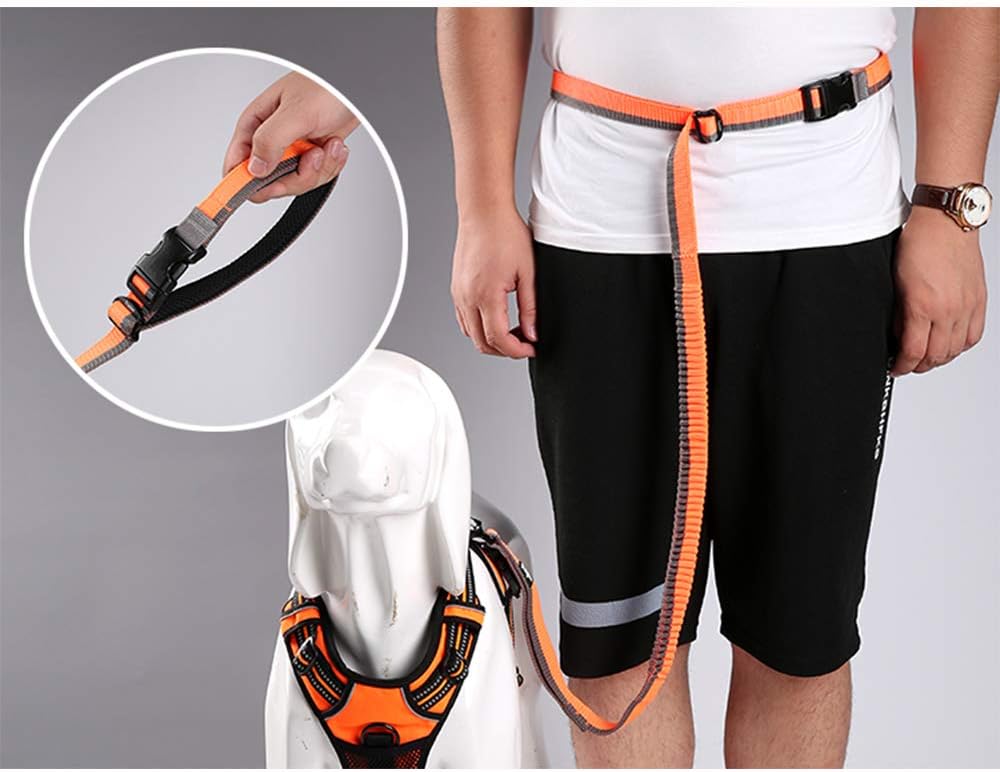 Thumbnail 6 de Truelove Bungee Dog Lead Hands Free