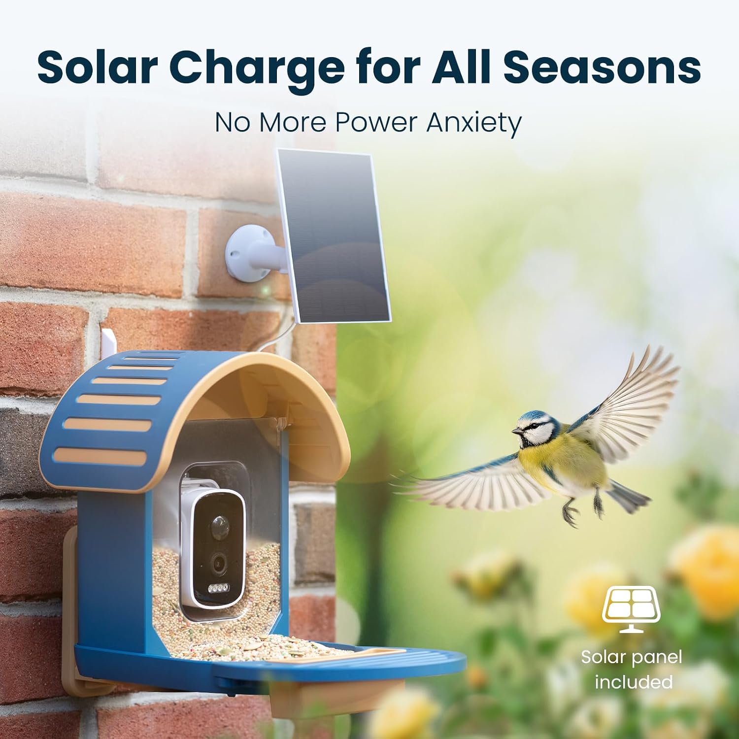 Detalle 2 de Smart Bird Feeder with Camera: 2.5K UHD, AI ID, Solar Powered, IP66