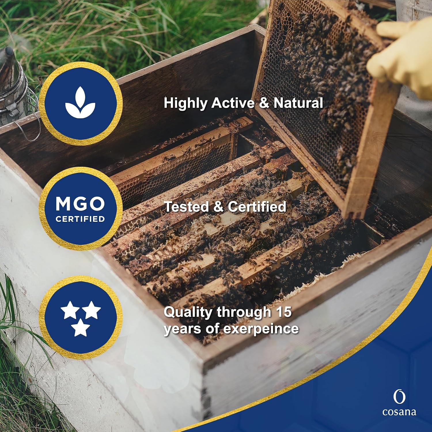 Detalle de Cosana Miel de Manuka 550 MGO 250g