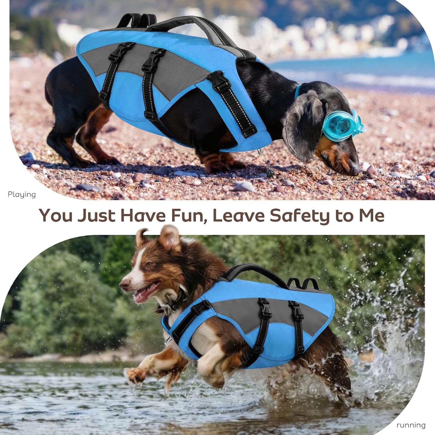 Thumbnail 6 de CITÉTOILE Giubbotto di Salvataggio per Cani: sicurezza e galleggiabilità per attività acquatiche