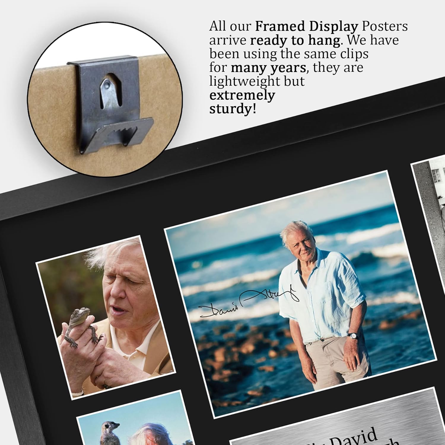 Thumbnail 4 de HWC Trading Sir David Attenborough FR A3 framed printed & signed autograph picture (330x445mm)
