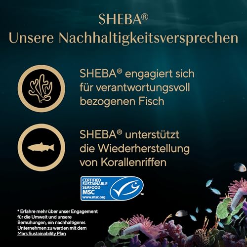 Thumbnail 11 de SHEBA Filets Adult Katzenfutter in Sauce mit Huhn und Thunfisch – 16x60 g Schale