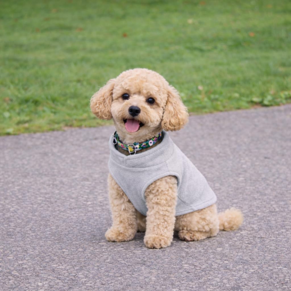 Thumbnail 6 de JACKO & CO Fleece Vest Dog Sweater with Leash Ring – Grey, Size S (1.8–2.7 kg)