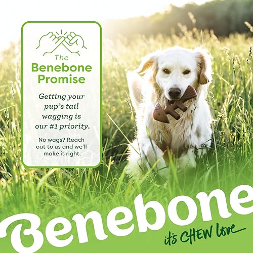 Detalle 2 de Benebone Caja de Regalo Indestructible para perros pequeños