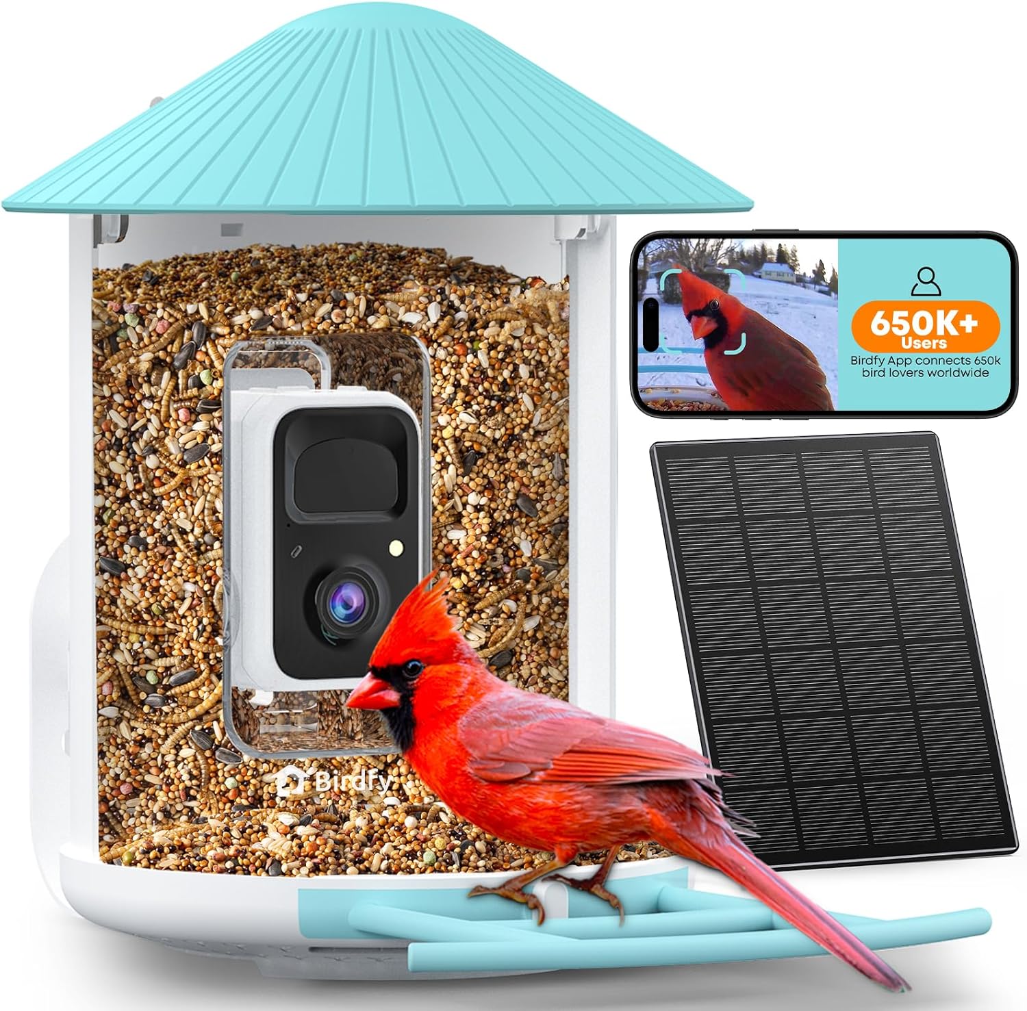Detalle de NETVUE Birdfy Smart Feeder Camera 1080P