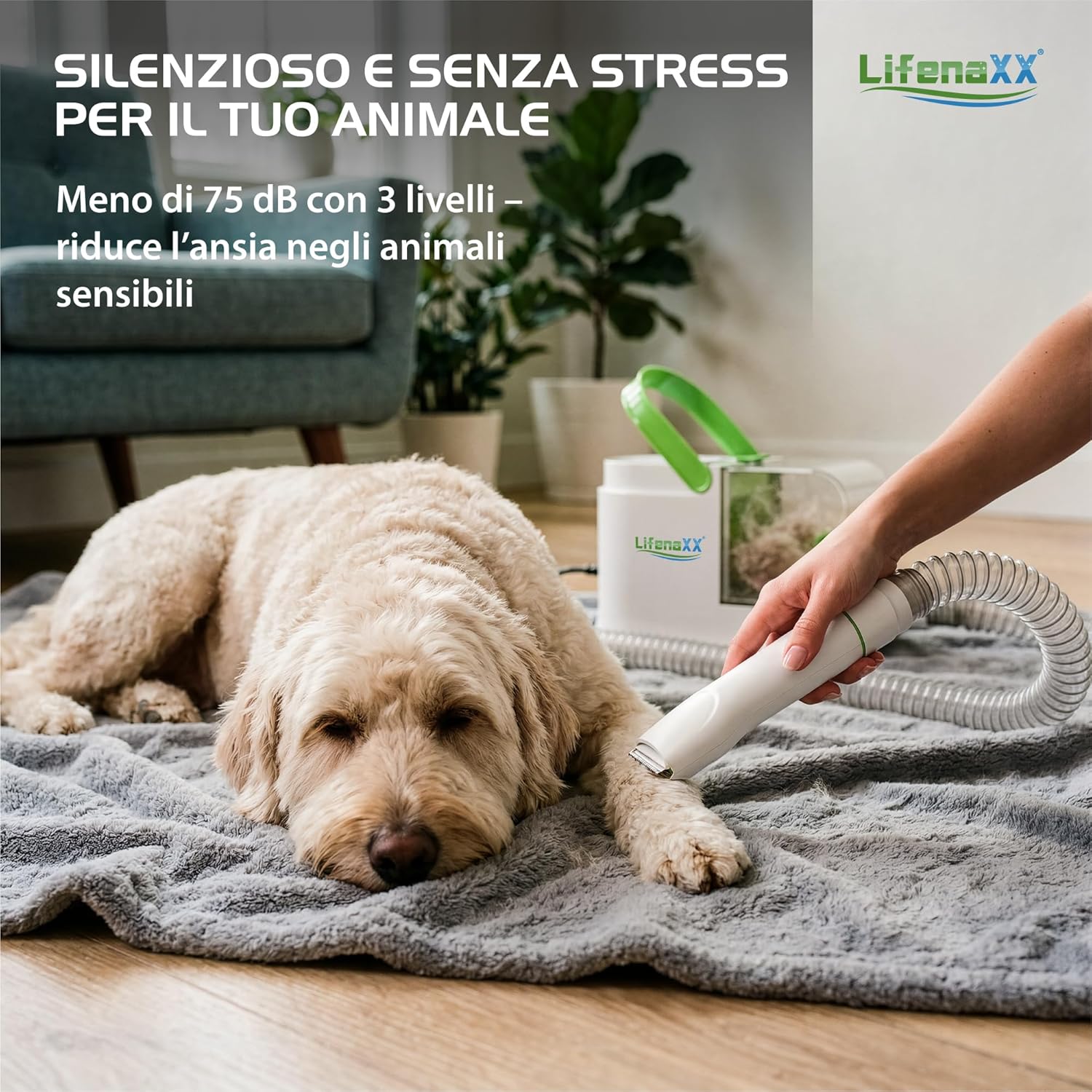 Detalle 2 de Lifenaxx Tosa Animali 6 in 1 con Aspirazione LX-052: kit tosatura silenzioso per cani e gatti