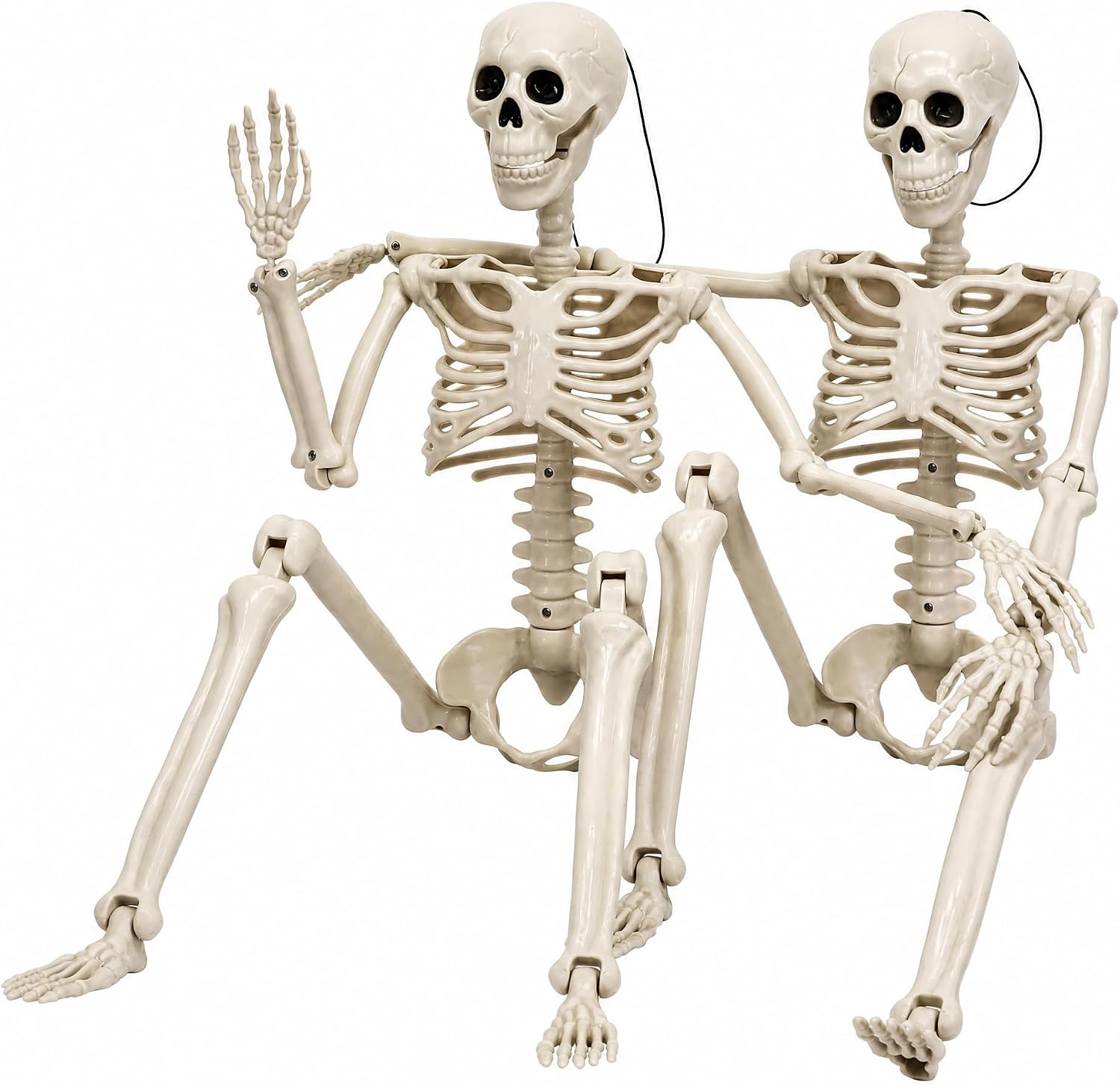 Detalle de HBSTK 36.5-Inch Halloween Skeleton 2-Pack, Posable with Movable Joints