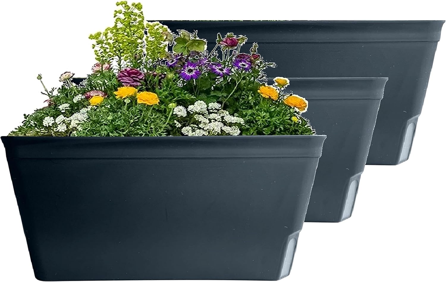 Thumbnail 6 de Olly & Rose Lazy Planters Self-Watering