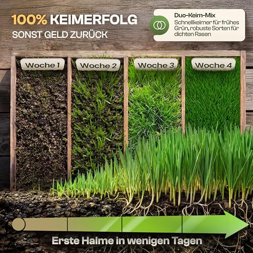 Detalle de HELGENWERK Rasensamen schnellkeimend Sommer 0,5kg – ideal für Neuanlage oder Nachsaat