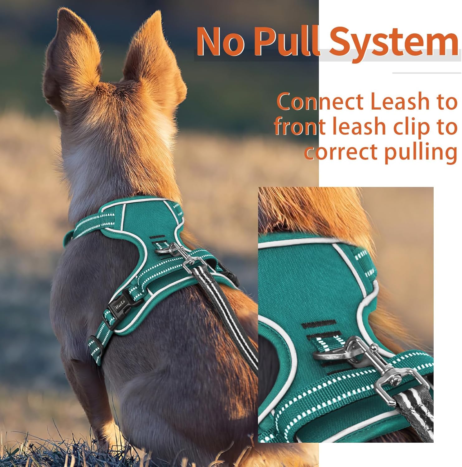 Detalle de HEELE No-Pull Dog Harness for Medium Dogs with Padded Handle – Reflective, Grass Green, Size L