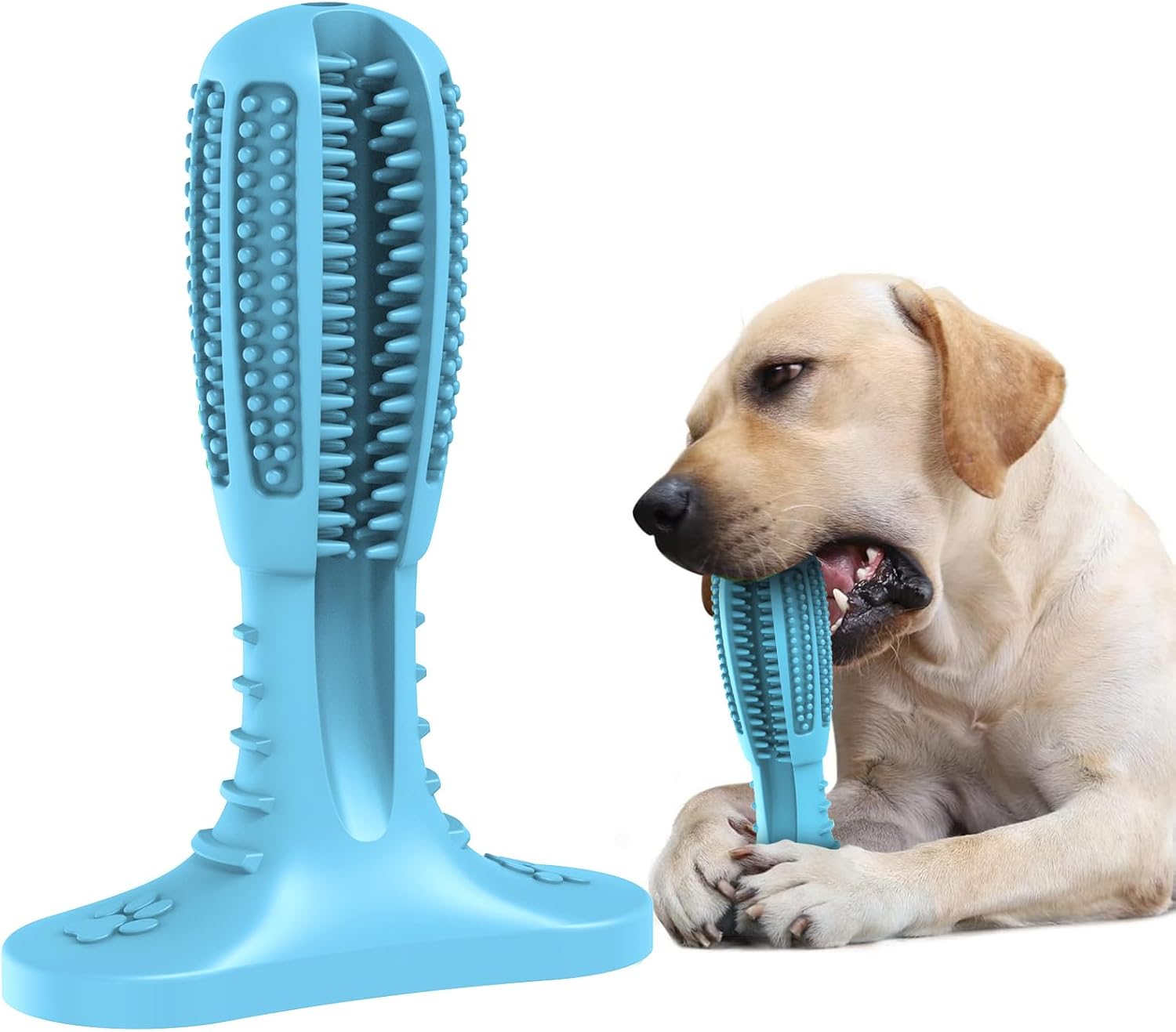 Detalle de HETOO Kauspielzeug für Welpen und mittelgroße Hunde – Naturkautschuk Zähne-Reiniger, blaue Schleifstange