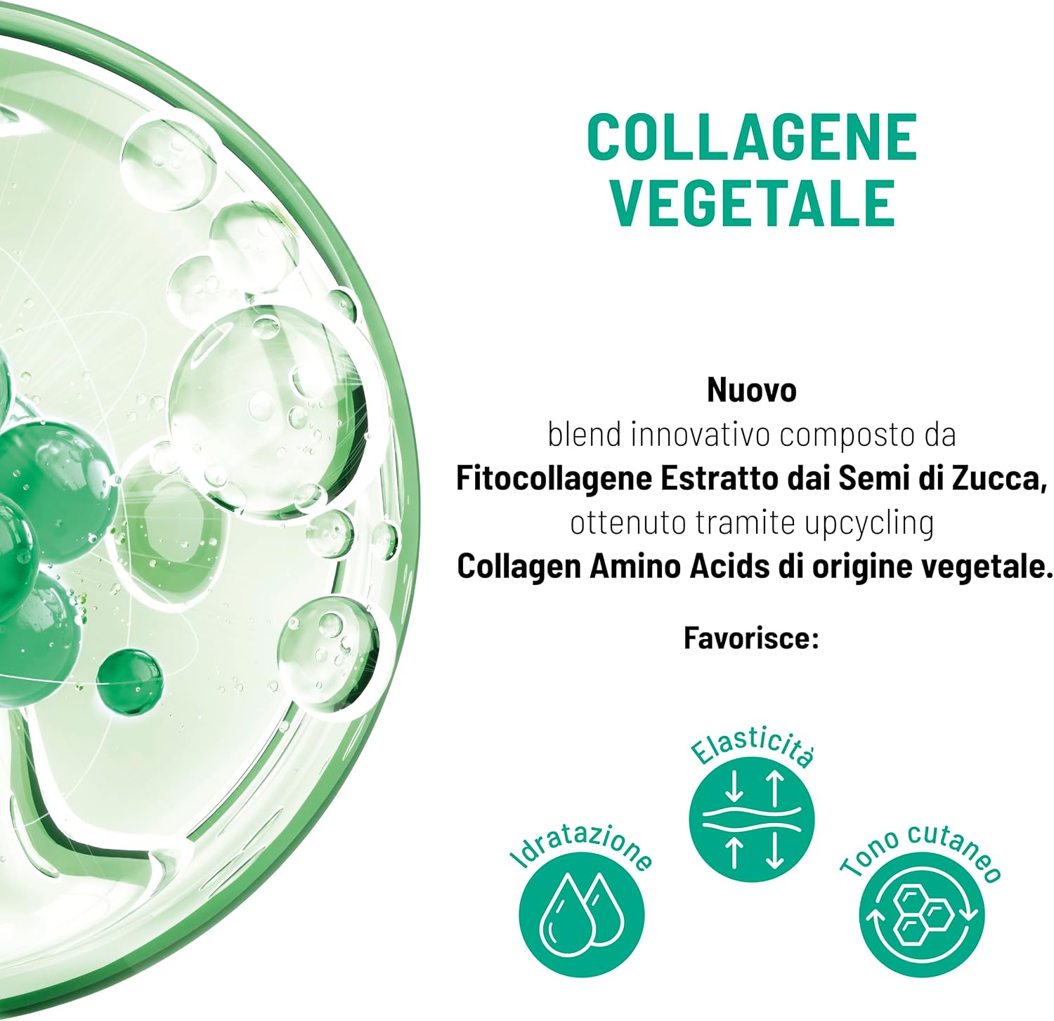 Detalle 2 de Equilibra Collagene Vegetale Crema Viso 50 ml