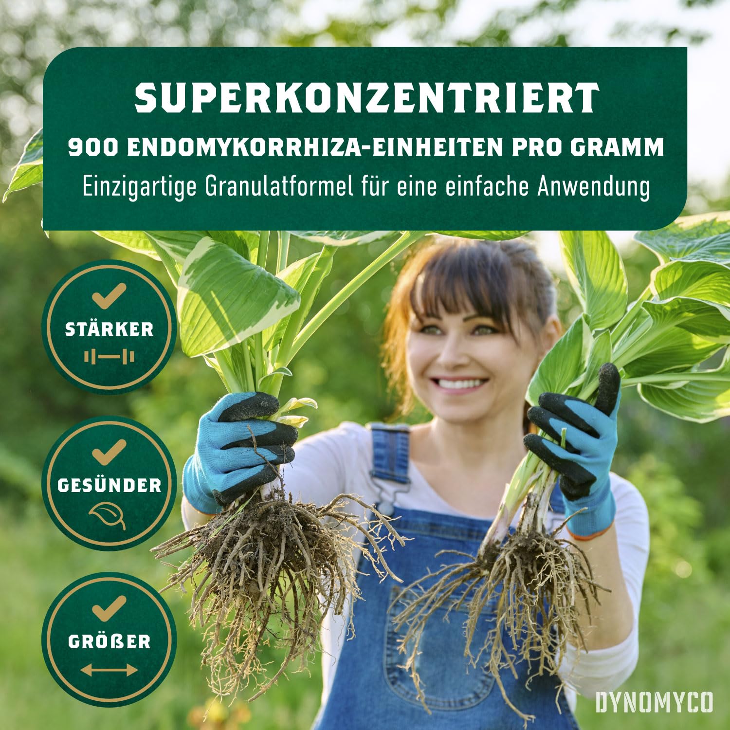 Detalle de DYNOMYCO Mykorrhiza-Impfmittel – Hochleistungsstämme, konzentrierte Formel, verbessert Nährstoffaufnahme