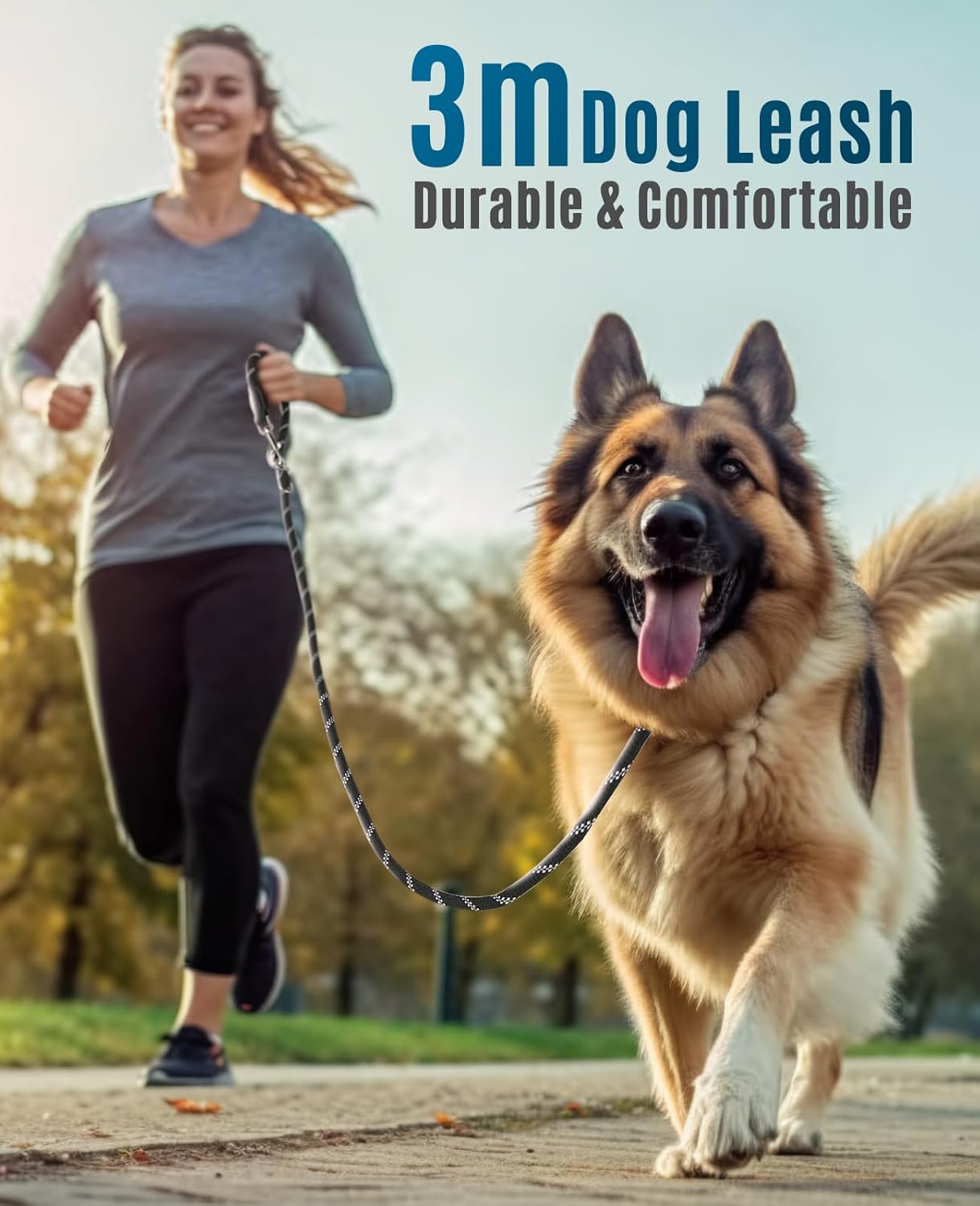 Thumbnail 1 de oneisall Laisse de Chien Grand & Moyen (15–60 kg) 3 m avec réfléchissant, charge annoncée jusqu’à 200 kg