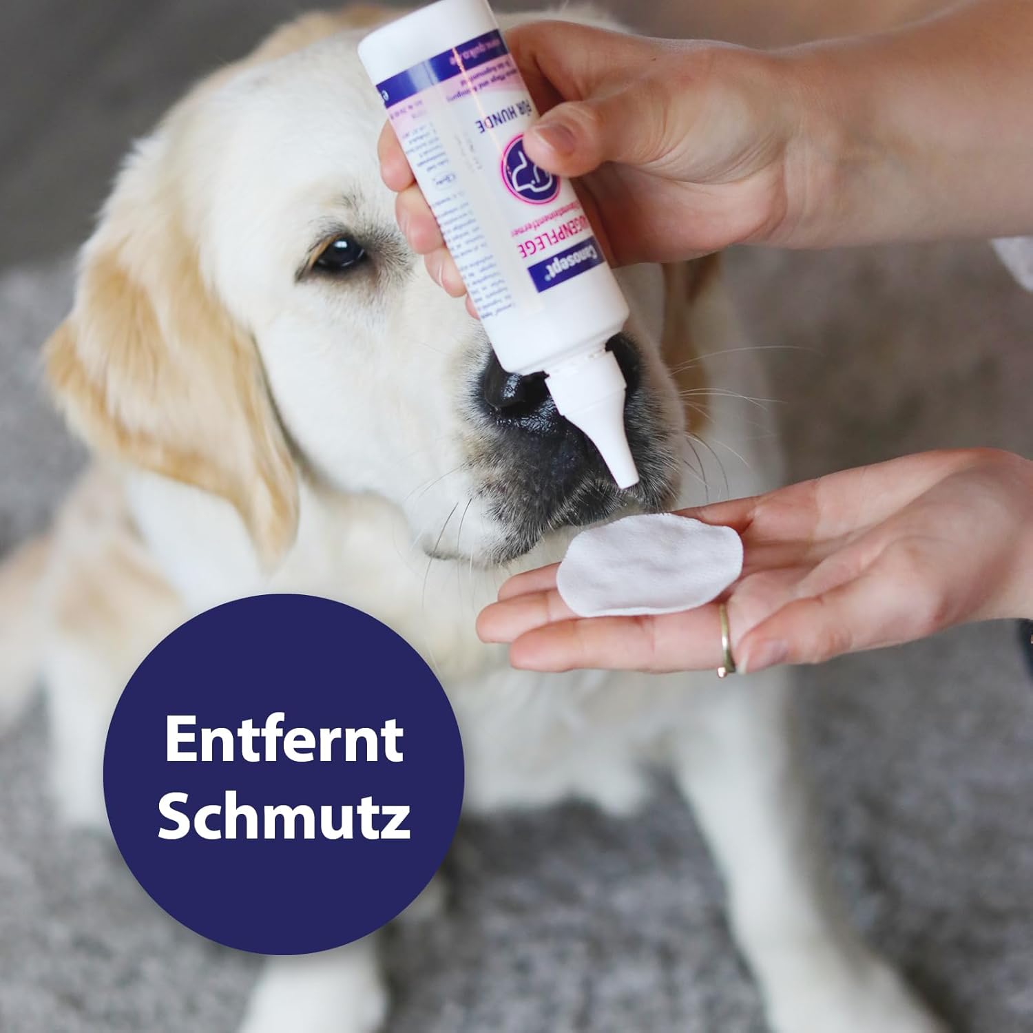 Detalle de Canosept Augenpflege-Pads für Hunde – 100 Stück, Augenreiniger mit Aloe Vera