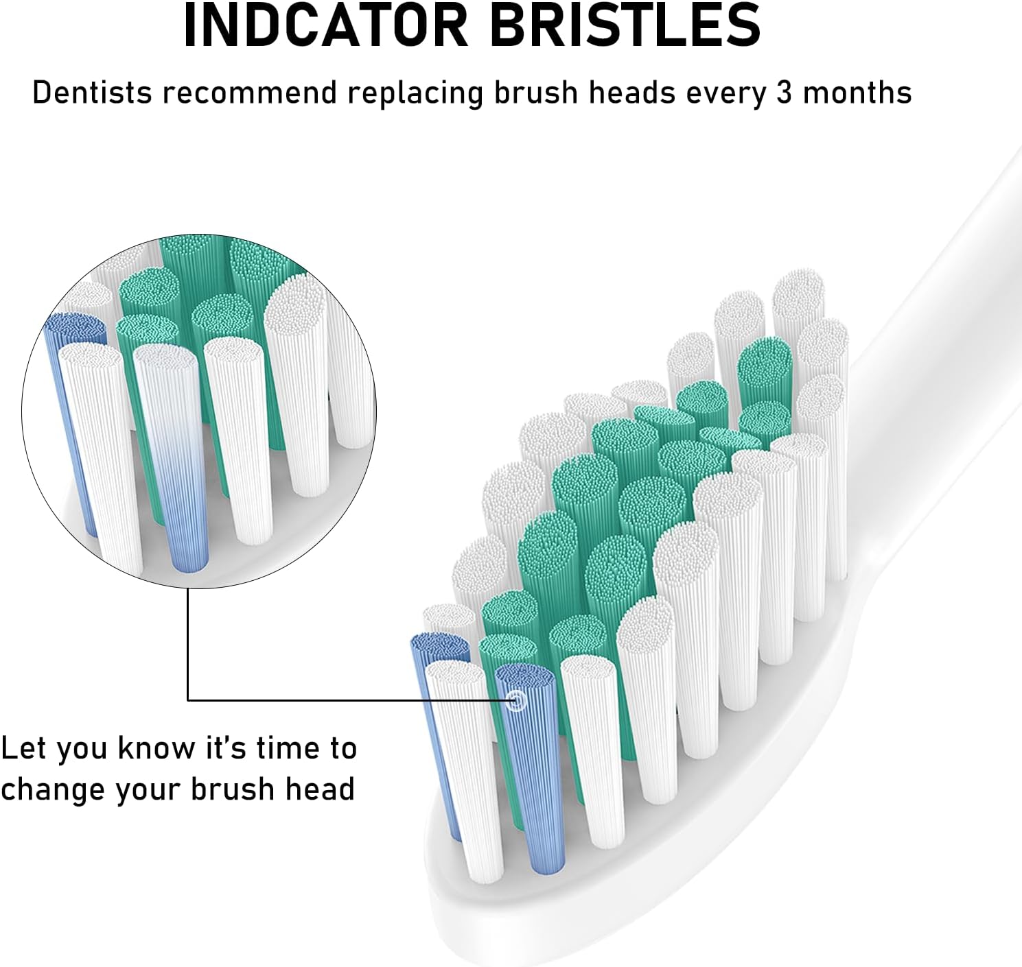 Detalle 1 de ELFIN Electric Toothbrush Heads, 8-Pack