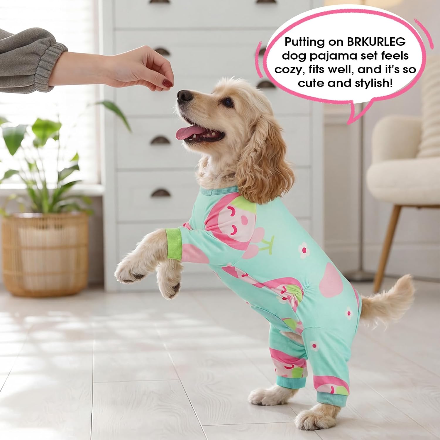 Thumbnail 6 de BRKURLEG Dog Recovery Suit, Green