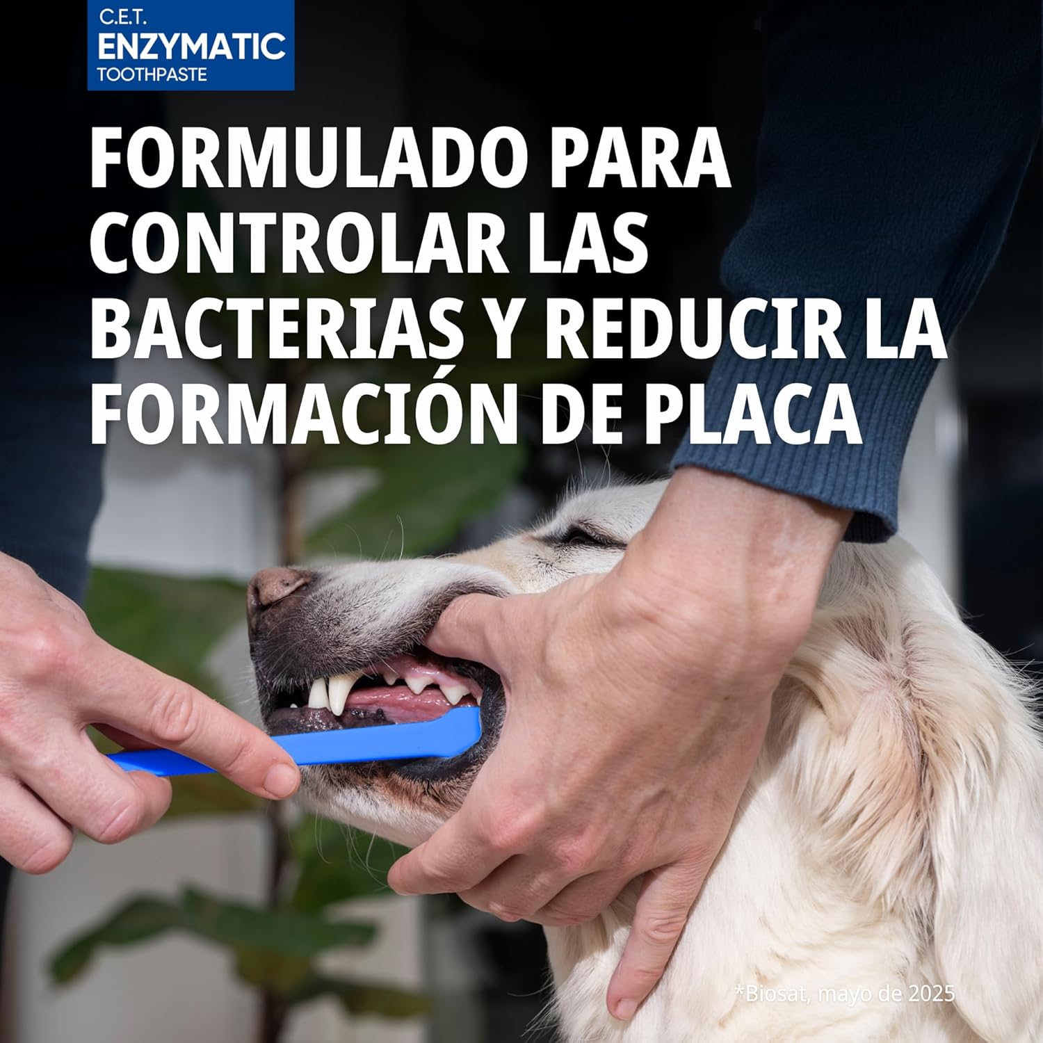 Detalle 2 de Virbac C.E.T dentífrico enzimático 70 gr