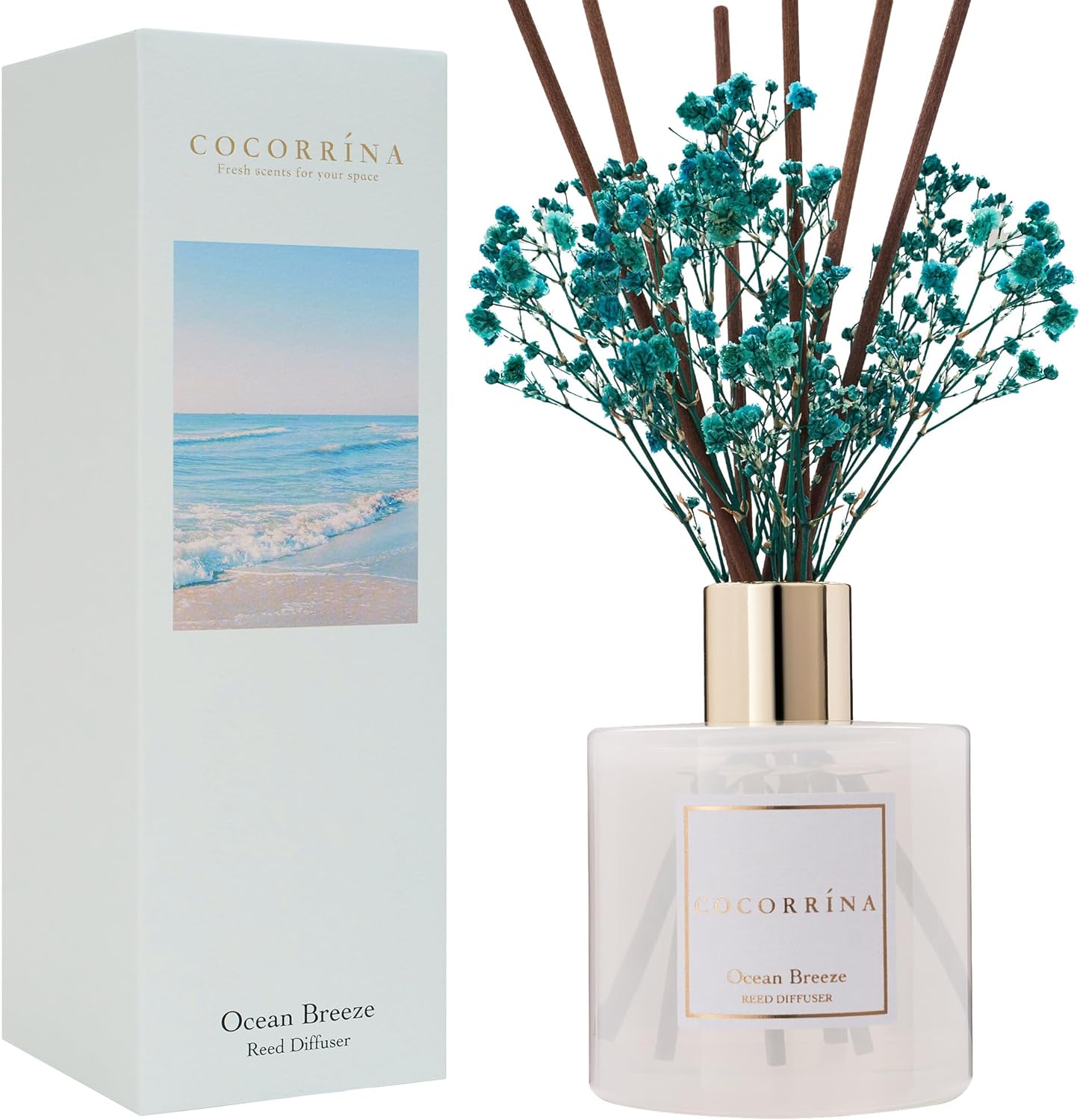 Thumbnail 4 de Cocorrina Reed Diffuser Set: Flower Diffuser in Clear Glass with 6 Sticks (6.7 oz) — Floral, Fruity, Fresh Scent