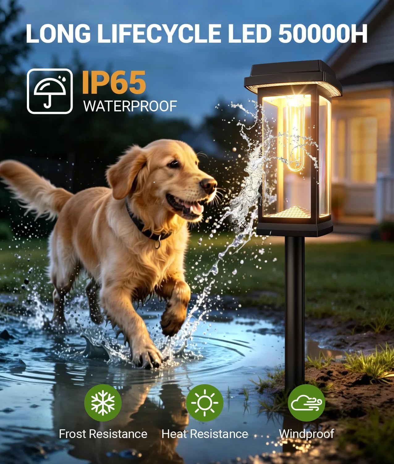 Thumbnail 4 de TuyLuxe 4-Pack Solar Lights for Outdoors: Bright 2-Mode Garden Illumination with Metal Stakes