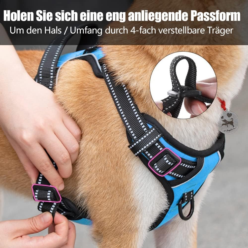Detalle de PoyPet No Pull Hundegeschirr (blau) mit reflektierenden Elementen, 2 Leinenbefestigungen und Steuergriff – für kleine bis mittelgroße Hunde, XS