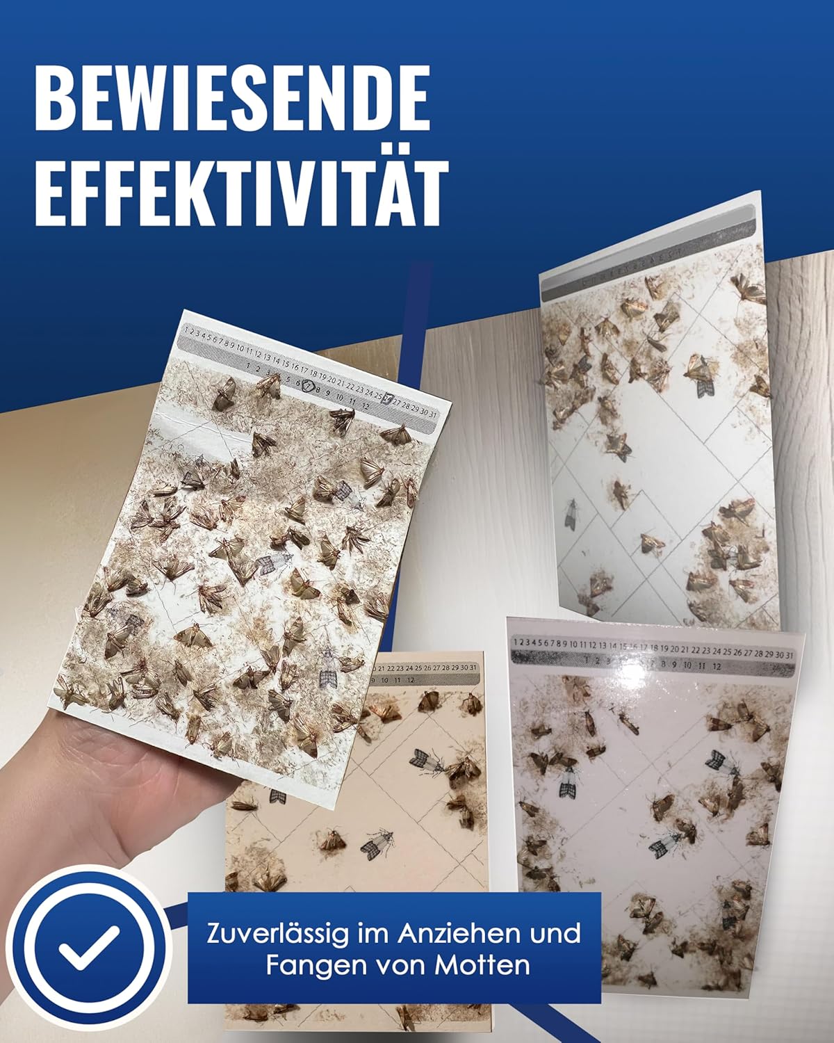Detalle 2 de PIC Lebensmittelmotten Falle 12er Pack