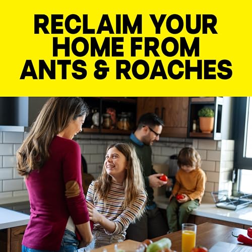 Detalle de Raid Ant & Roach Killer Bug Spray, Fragrance Free, 17.5 oz, 2 Count