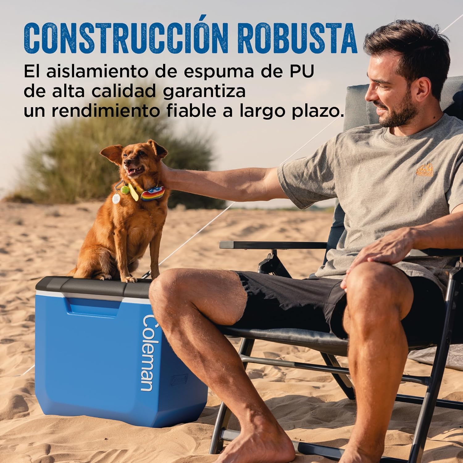 Detalle 2 de Coleman tienda de campaña 4 plazas ⛺