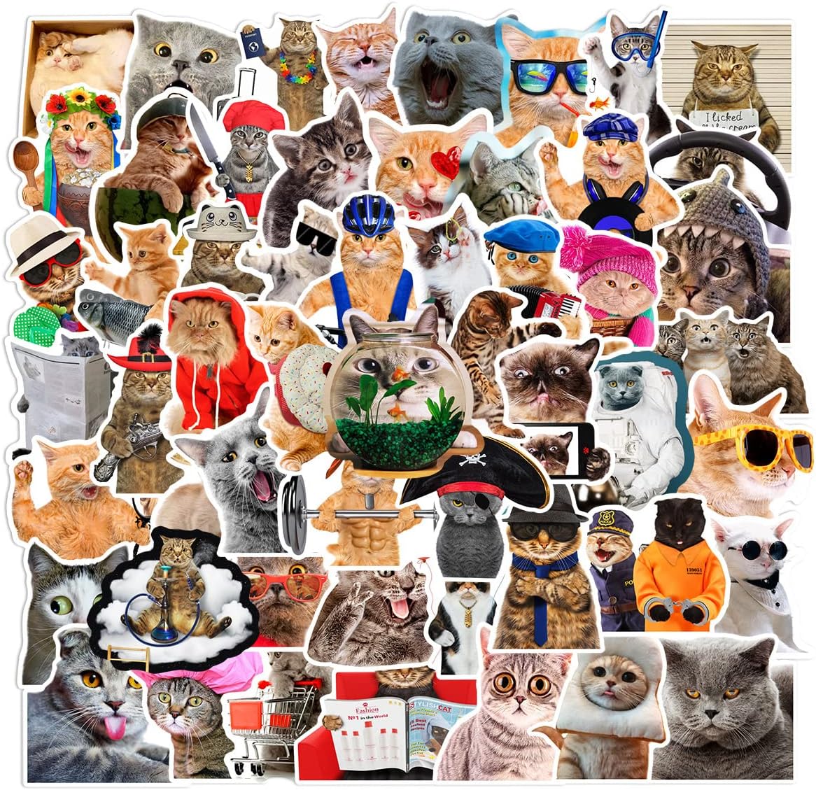 Detalle de Cat stickers, 66-piece set