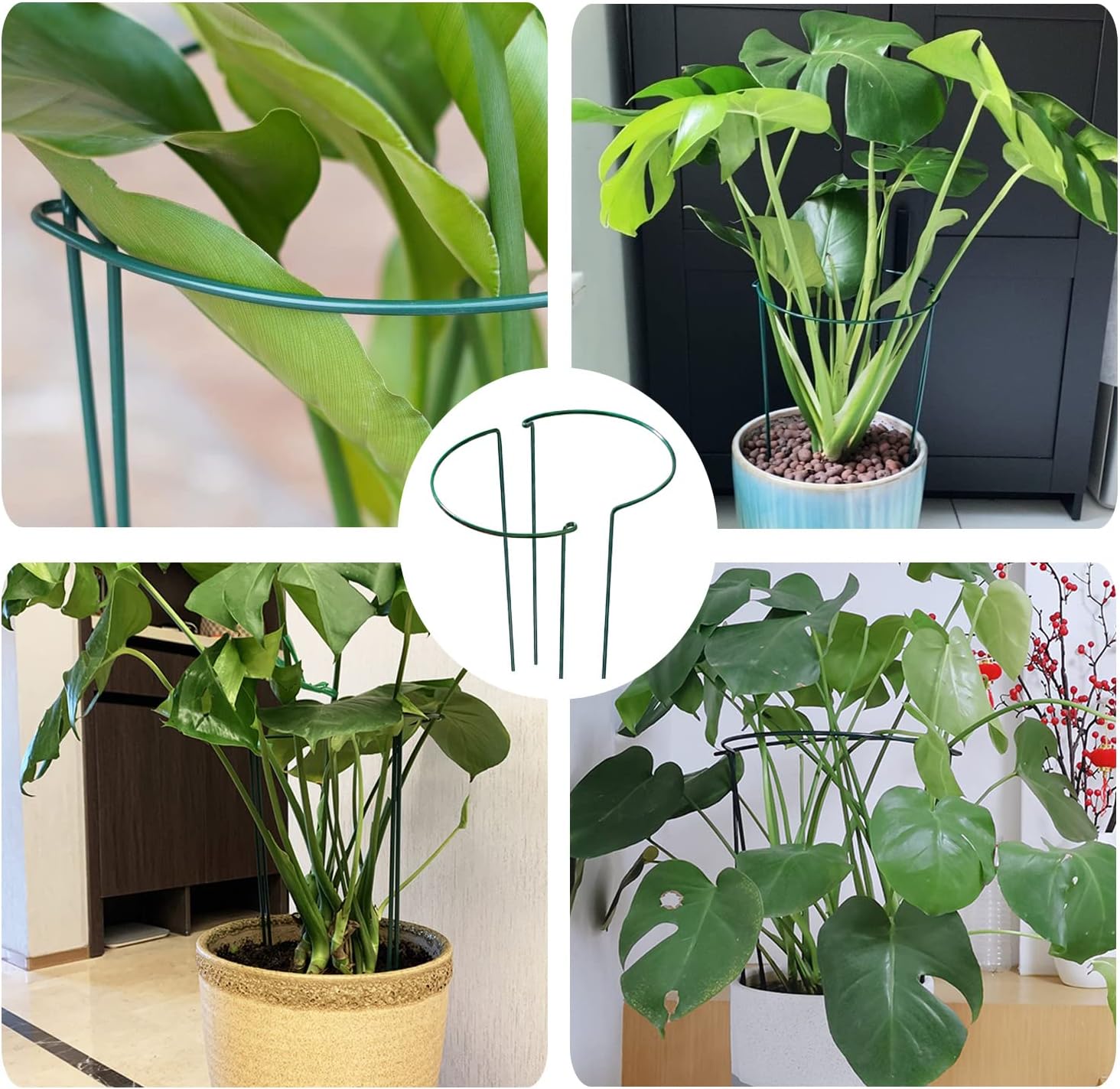 Thumbnail 6 de JIALWEN 6 Pack 20×35cm Plant Support Stakes Ring Cages – Green Metal Garden Plant Supports