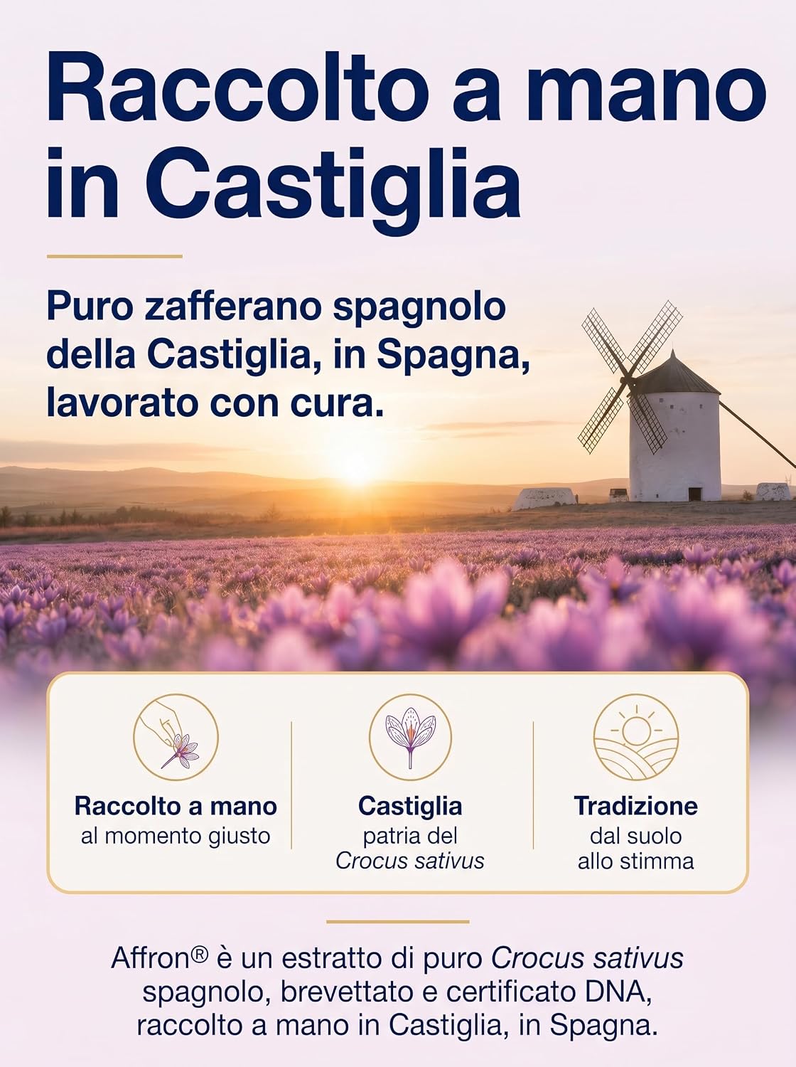 Thumbnail 4 de Zafferano Integratore Affron Benessere Mentale — 40 Capsule: una leggera spinta per umore e rilassamento