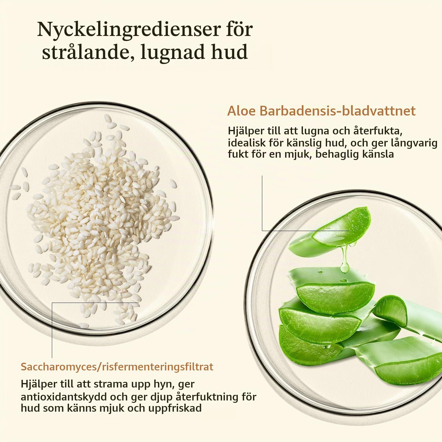 Thumbnail 1 de RAZUYEN Aloe Rice Essence Toner, parfymfritt ansiktsvatten med aloe vera, 200 ml