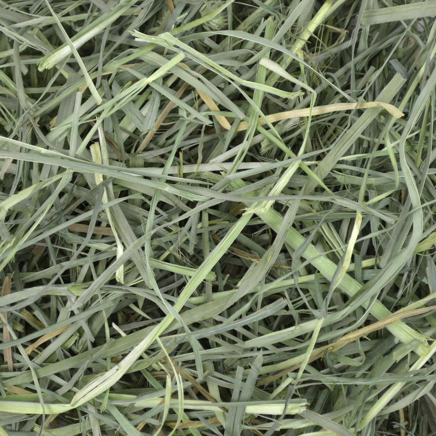 Detalle de Oxbow Orchard Grass Hay – siano z trawy Orchard Grass, 9 lbs