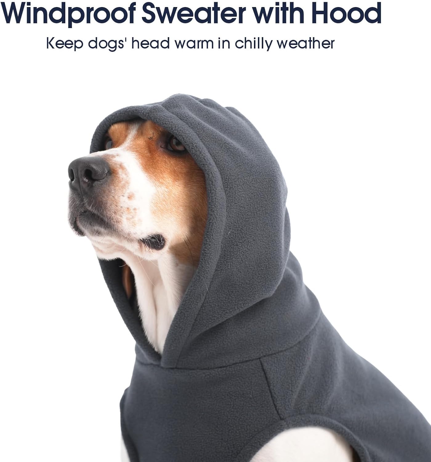 Detalle de IECOii Dog Hoodie, Size XL