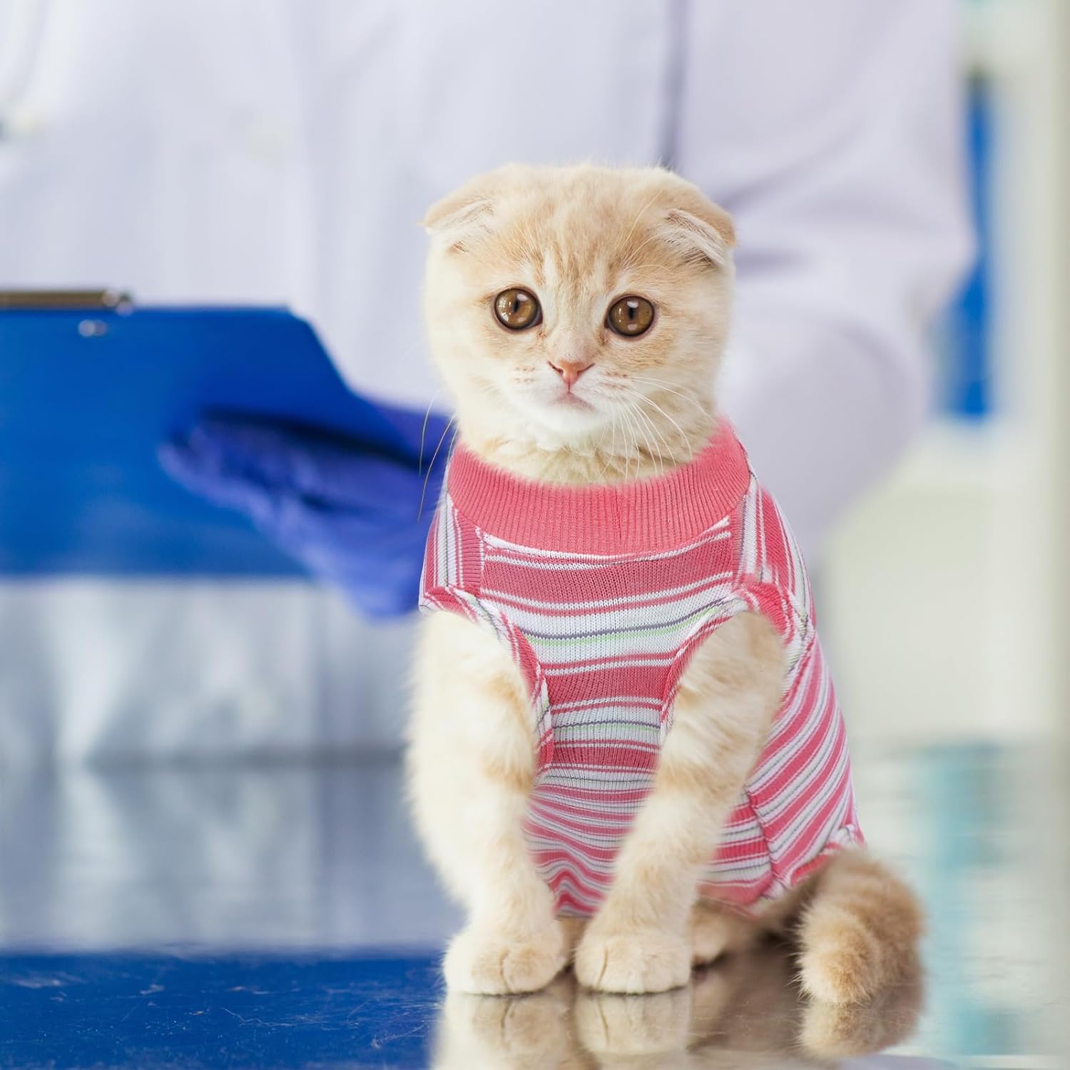 Thumbnail 6 de ASENKU Katzenbody nach OP S 37 cm