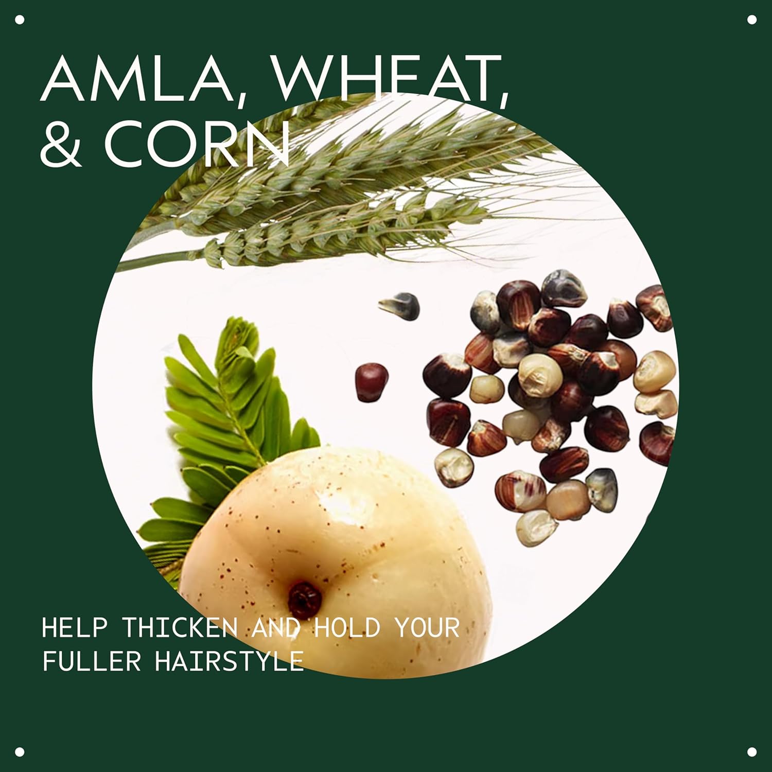 Thumbnail 2 de Aveda Thickening Tonic hair spray for fine, thin hair