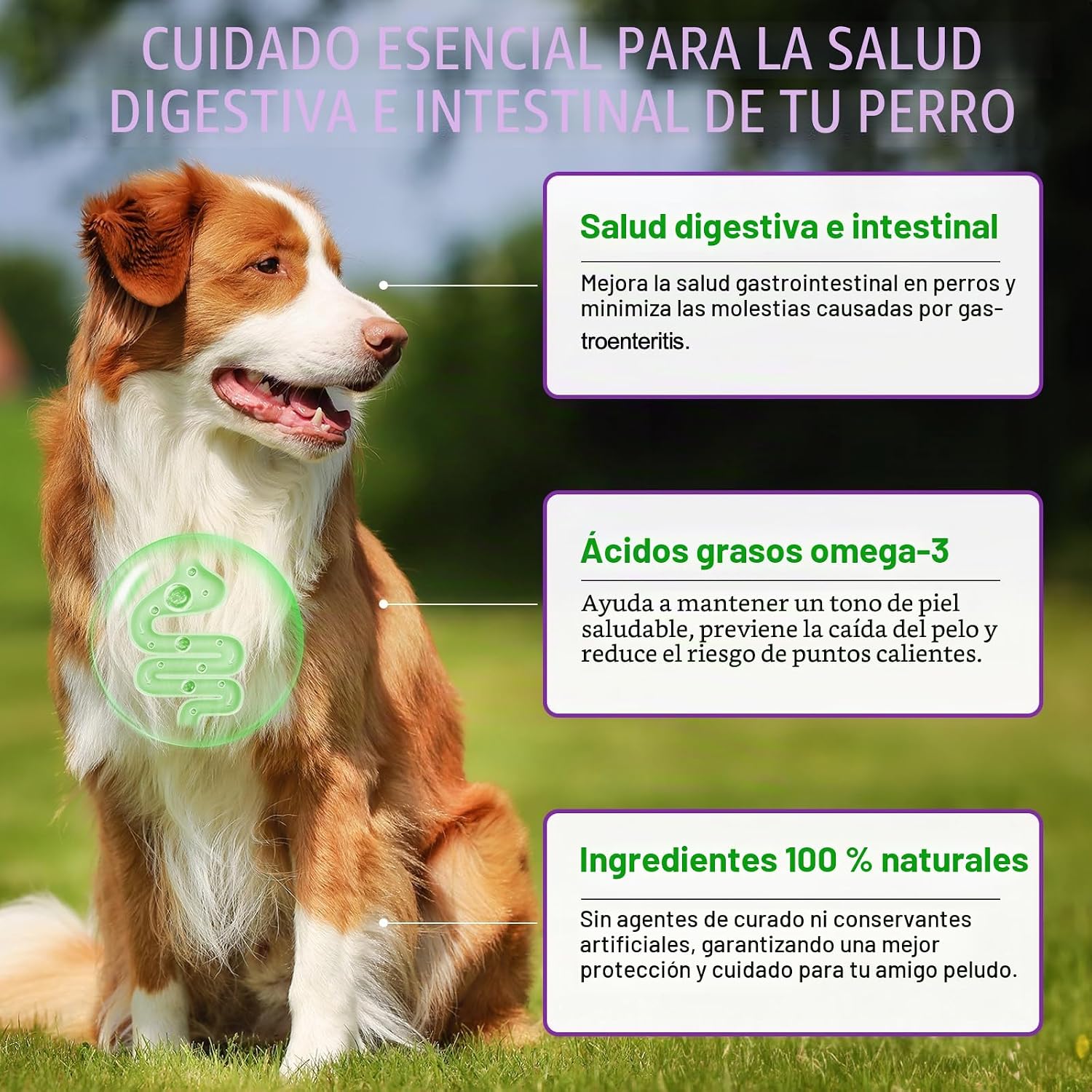 Detalle 2 de Dog Allergy Relief Treats 150 unidades