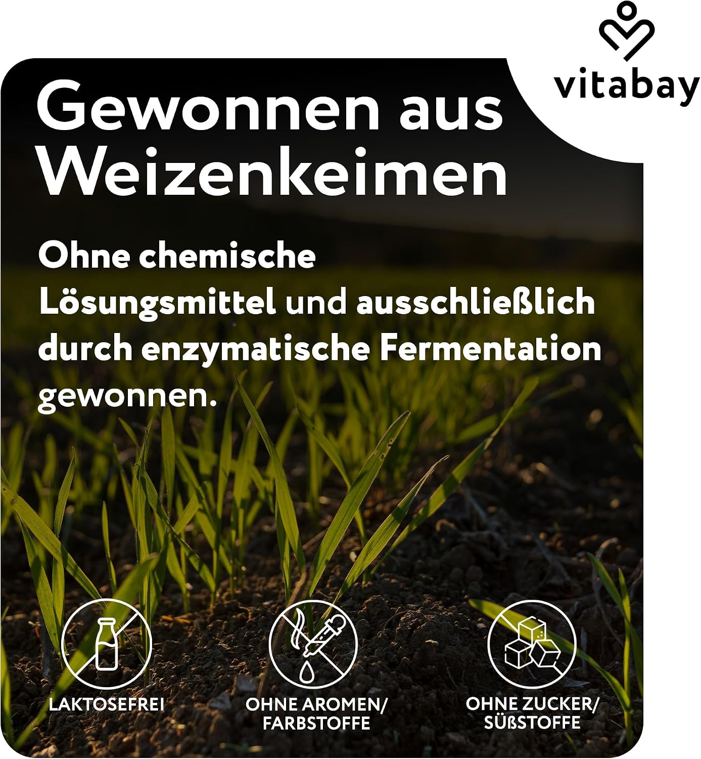 Thumbnail 4 de Vitabay Spermidin 6 mg Hochdosiert