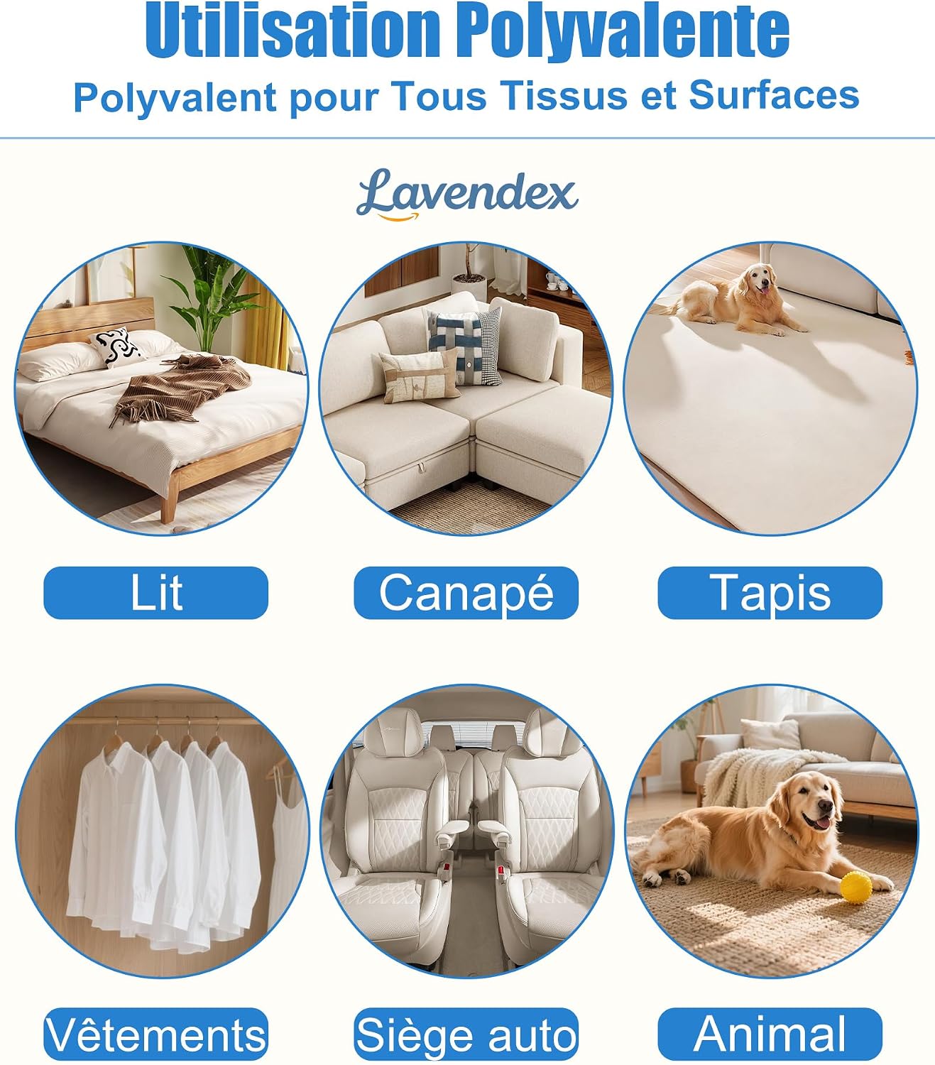 Thumbnail 6 de Gant Anti Poils Animaux Lavendex Forme Patte – Mini gant cuir pour chien et chat