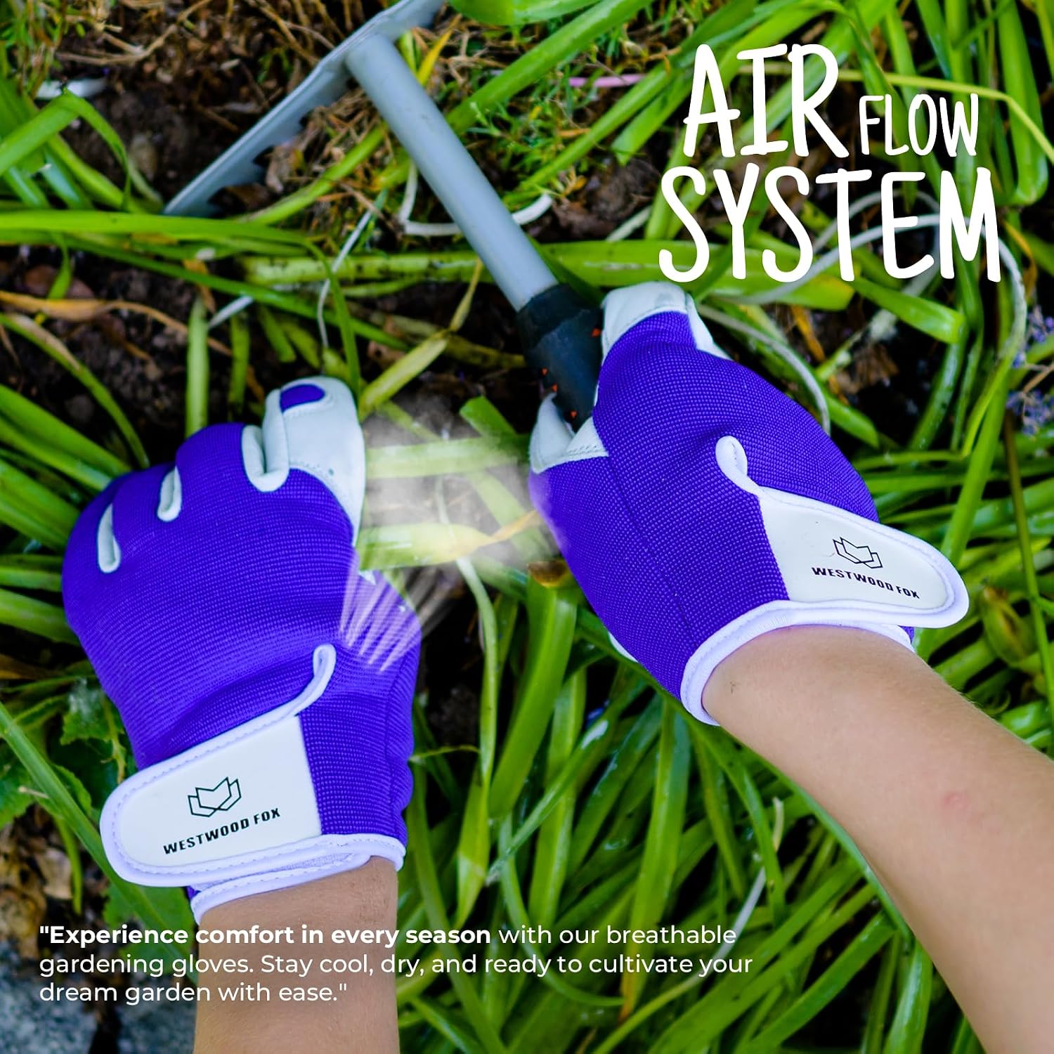 Thumbnail 6 de Westwood Fox Leather Gardening Gloves Thorn Proof
