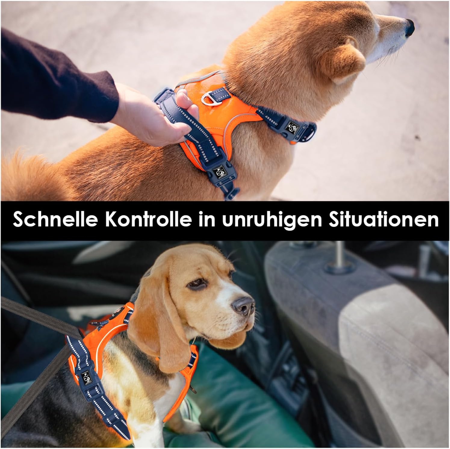 Detalle 2 de PHOEPET No Pull Hundegeschirr S