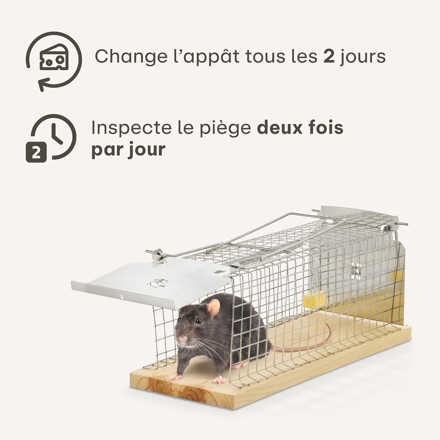 Thumbnail 6 de Praknu Cage piège à rat vivant 30 cm