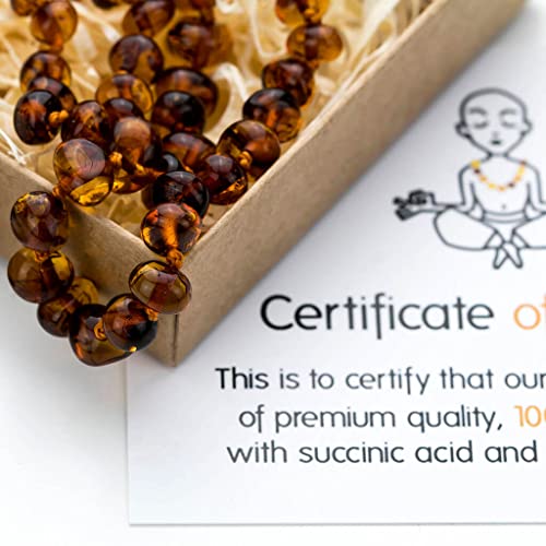 Thumbnail 3 de Baltic Amber Necklace - 12.5", Polished Beads, Cognac Color by Amber Guru