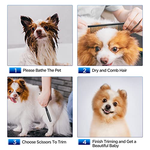 Thumbnail 6 de Gimars Dog Grooming Scissors Kit 5 en 1 con tijeras de acero 4CR y puntas redondeadas de seguridad