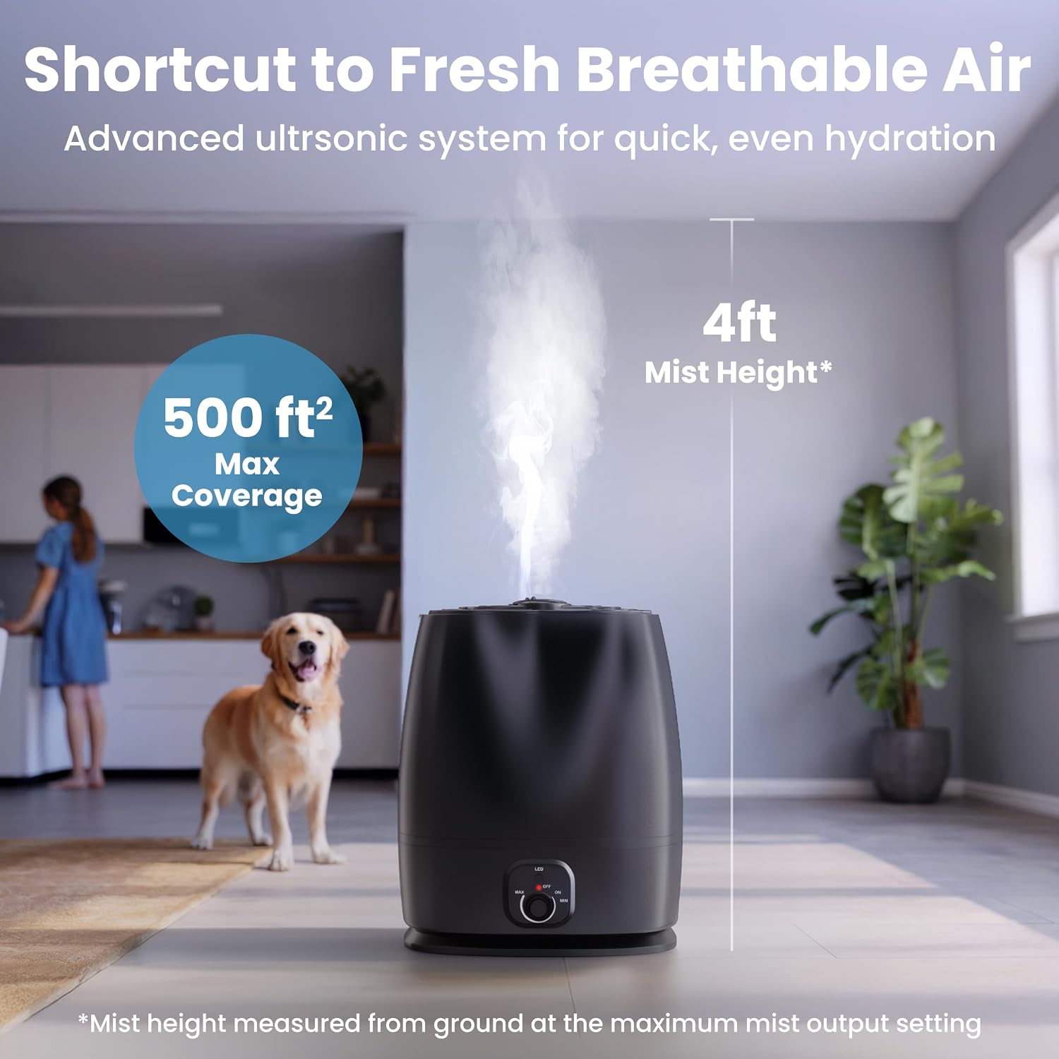 Detalle 2 de Everlasting Comfort 6L Humidifier with Built-In Oil Diffuser – Quiet, 50-Hour Run Time for Large Rooms