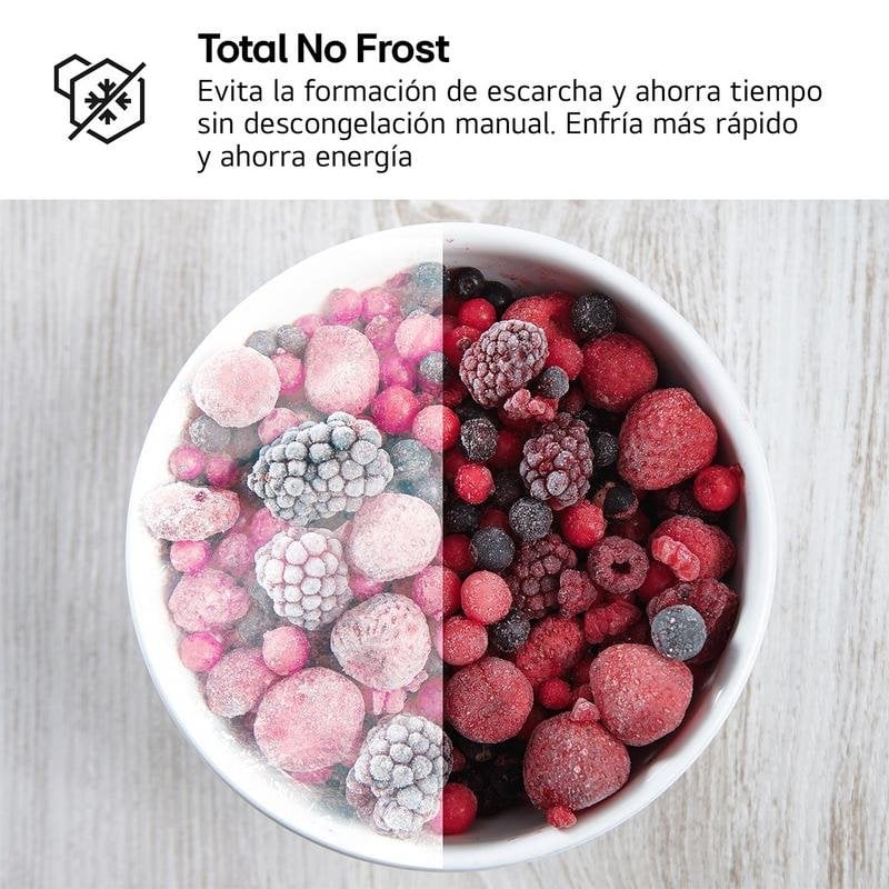 Detalle de LG GMM42PYBEH Frigorífico Americano Total No Frost 600 L en Inox antihuellas