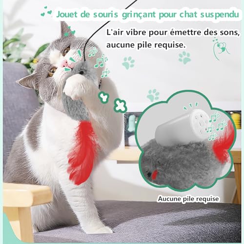 Detalle de FYNIGO - Pack de 2 Souris Suspendues Interactives pour Chat, Sans Piles, Corde Élastique et Plumage