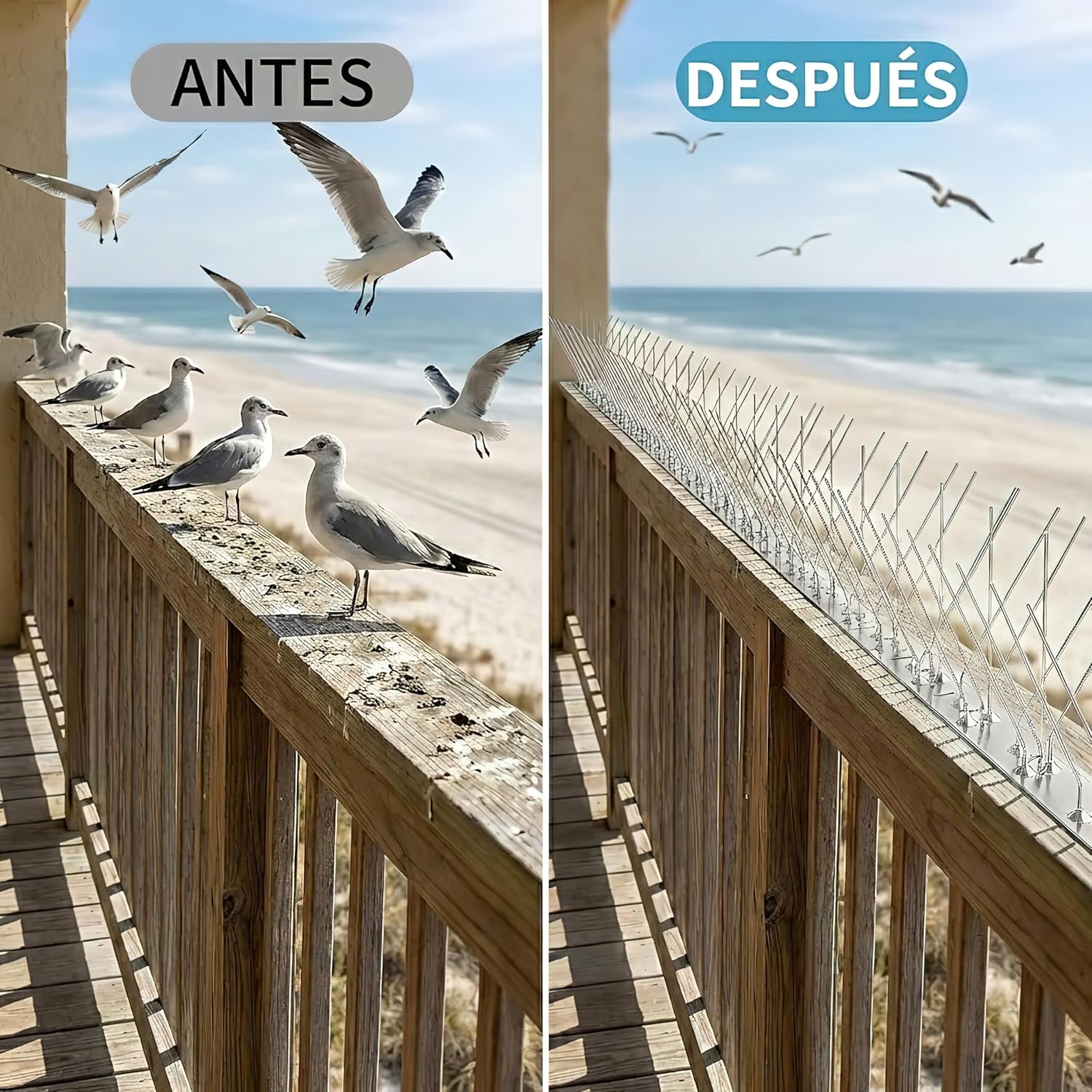 Detalle de KOKMEYA Pinchos antipalomas de acero inoxidable 304 (1 m, 4 piezas de 25 cm) con tornillos y bridas para balcón, canalón y tejado